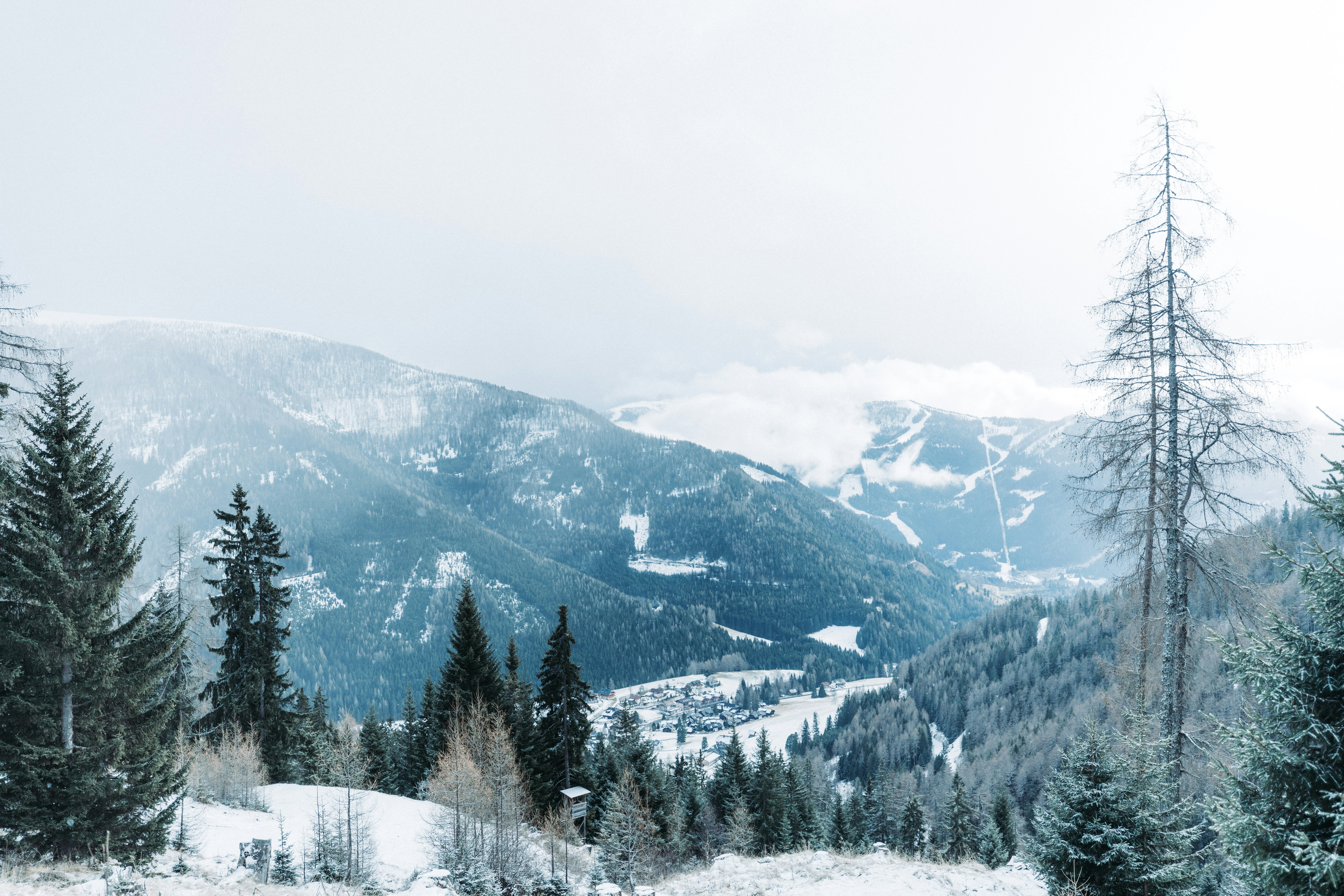 mountain alps covered with snow